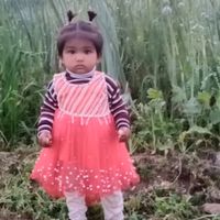 muhammadamirrasheeogmail