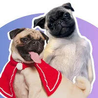 Esto de ser modelo no es nada facil