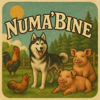 numabine
