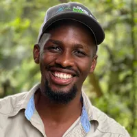 original sound - allanietheguide