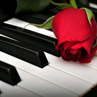 solo_feeling
