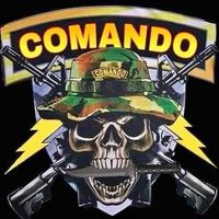 comando1305