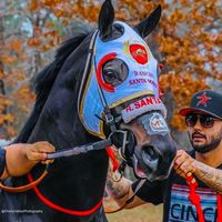 carrerasdecaballosdelmun