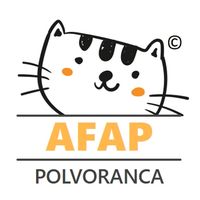 gatosdepolvoranca