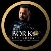 BORKO RADIVOJEVIĆ