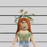 roblox.cu.mere