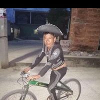 holmanalvarado347