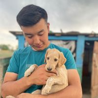aqboken_tazy