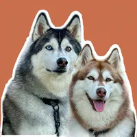 original sound - gudan_ohusky