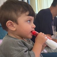 vivendocomleo