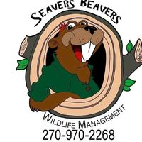 seavers_beavers