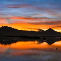 original sound - rich.najera