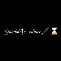 gandulete_zilnice