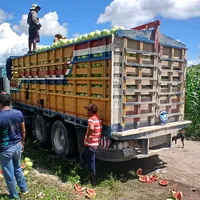 original sound - jugar752