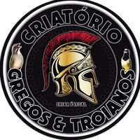 gregos.e.troianos