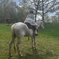 billionaire_chardaye