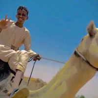 الصوت الأصلي