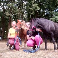 2.rare.kindjes.paardjes