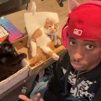 tic tac I JUST SHOT MY SHOT