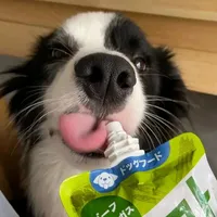 original sound - gflrtpvss0