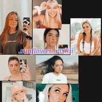 .sunflower..mxltii
