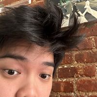 negantheestallion_