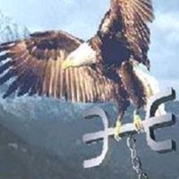 lvazzidourar75