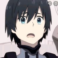 snk_kauan