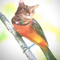 I know you Faye Webster