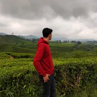 original sound - reasonzzx