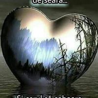povestitorul_14