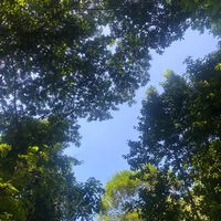 original sound - awtarprabs