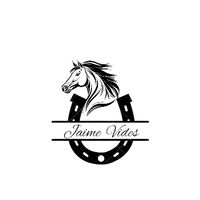 jaimevides30