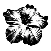 original sound - taniribergen