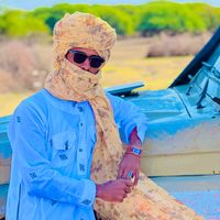 yusef6031