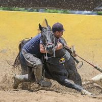 id_statusdevaquejada