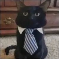 original sound - Videos For You