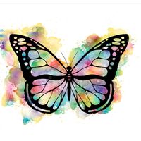 andrezaoliveira77168