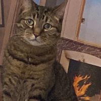 smokeyvinyl
