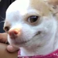 fan_de_los_compas_100312