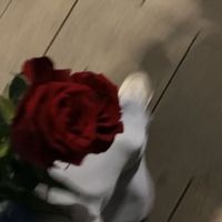 user.isnt.available6