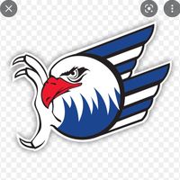 eishockeystadt.mannheim