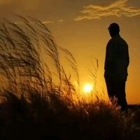 pordosol092
