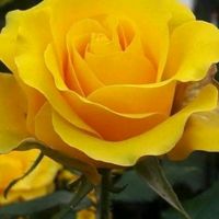 corazondemelon_24