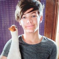 1dpreferences