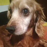 original sound - juansalguero31