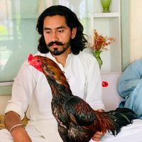 saifikhanniazi91
