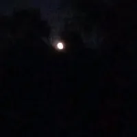 original sound - sped_up_songs2008