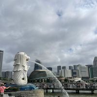 原聲