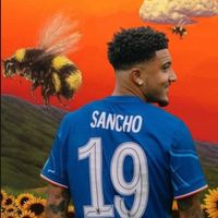 sanchohairyarsehole